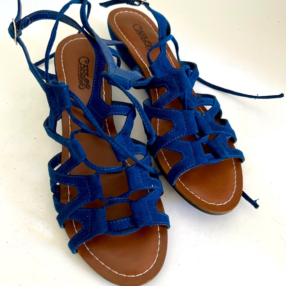 Carlos Santana sandals